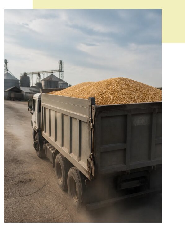 Перевозка сельхозпродукции навалом в Шатуру по цене от 3073 р. | Агросервис-Штр